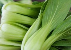 植物冠層分析儀如何助力農(nóng)業(yè)研究？